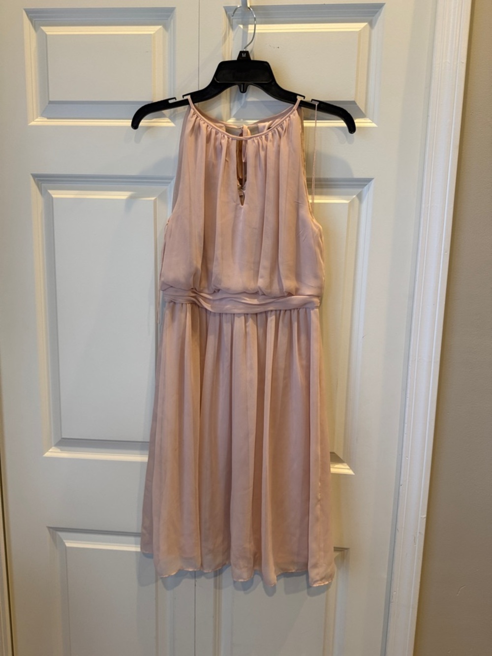 Gorgeous blush a-line sleeveless dress by Adrianna Papell